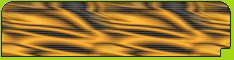 banner_55.png